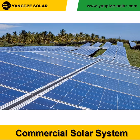 Yangtze Hefei Fabricante Sistema de energía de panel solar fotovoltaico de 1 MW con inversor solar en red